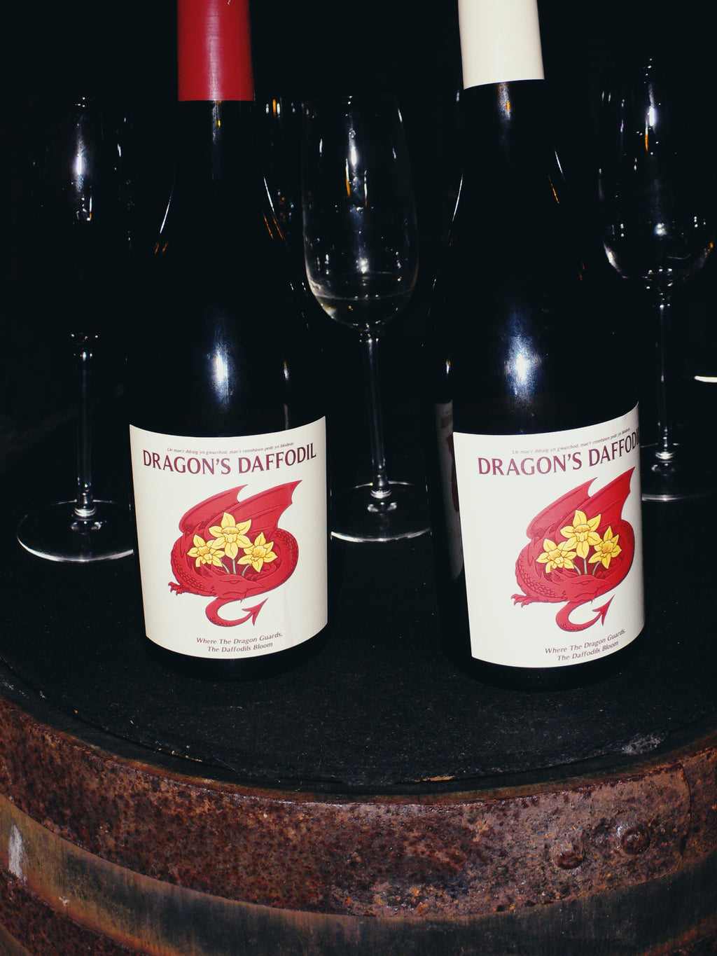 Dragon's Daffodil White