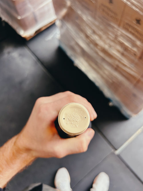 Dragon's Daffodil White