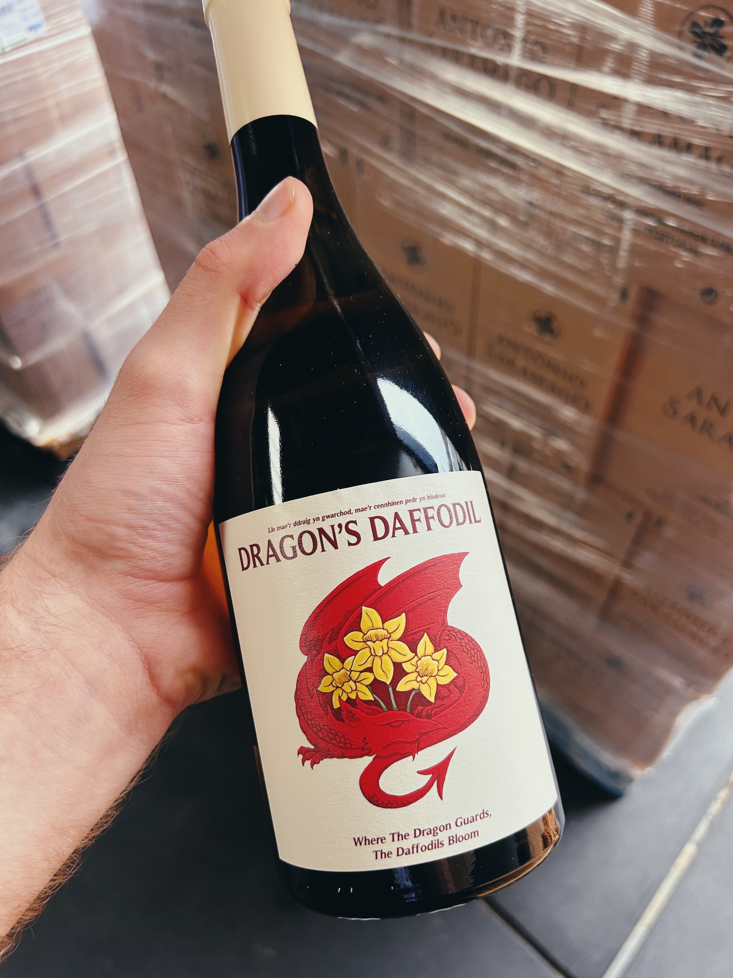 Dragon's Daffodil White