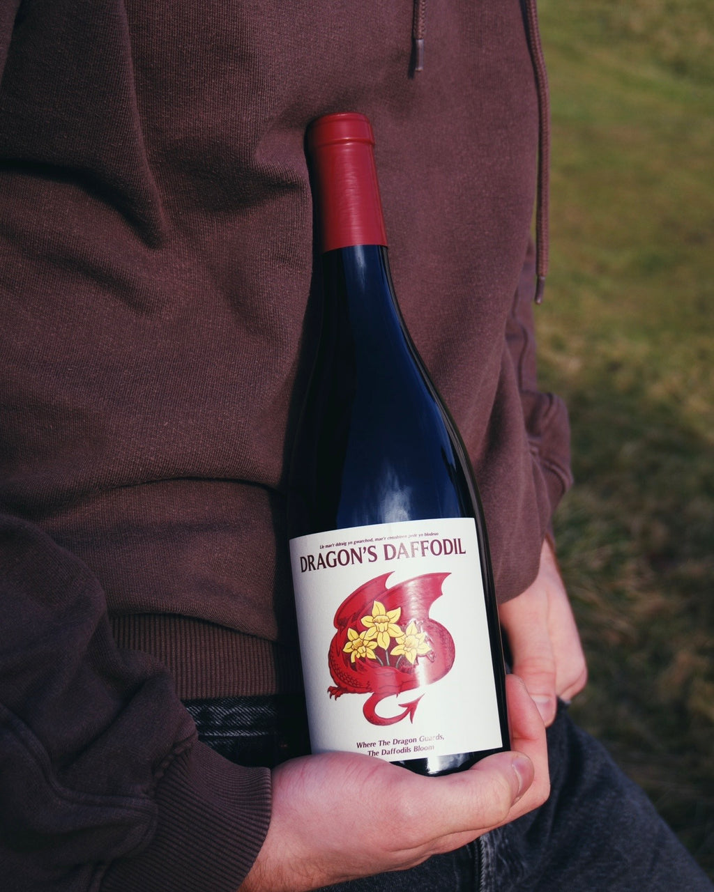 Dragon's Daffodil Red