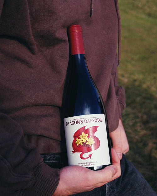 Dragon's Daffodil Red