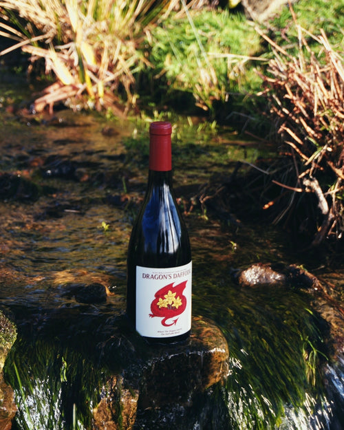 Dragon's Daffodil Red