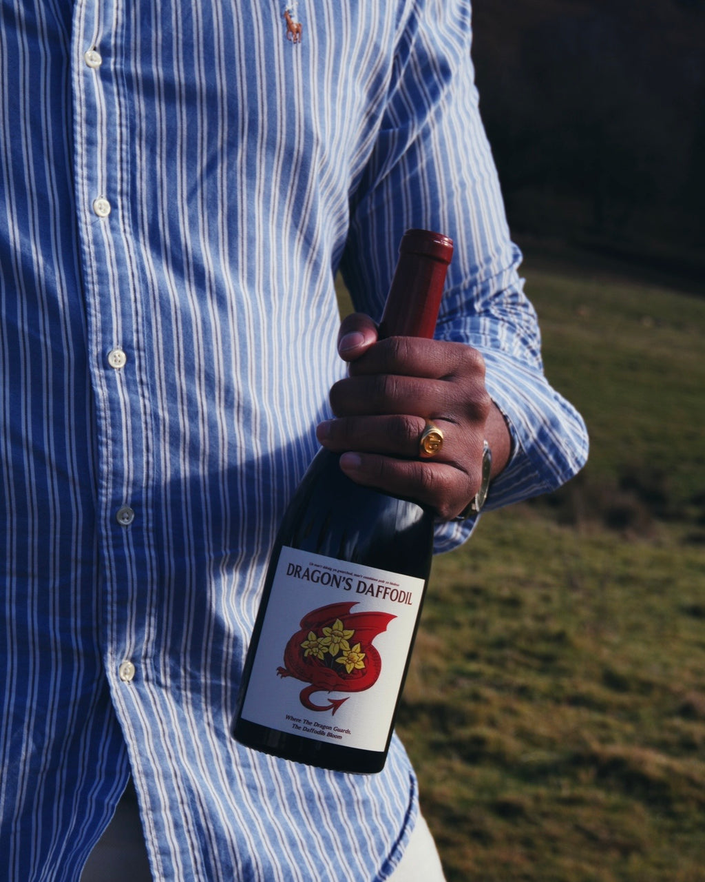 Dragon's Daffodil Red