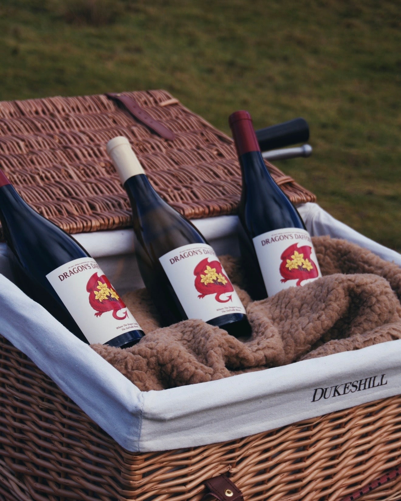 Dragon's Daffodil Red