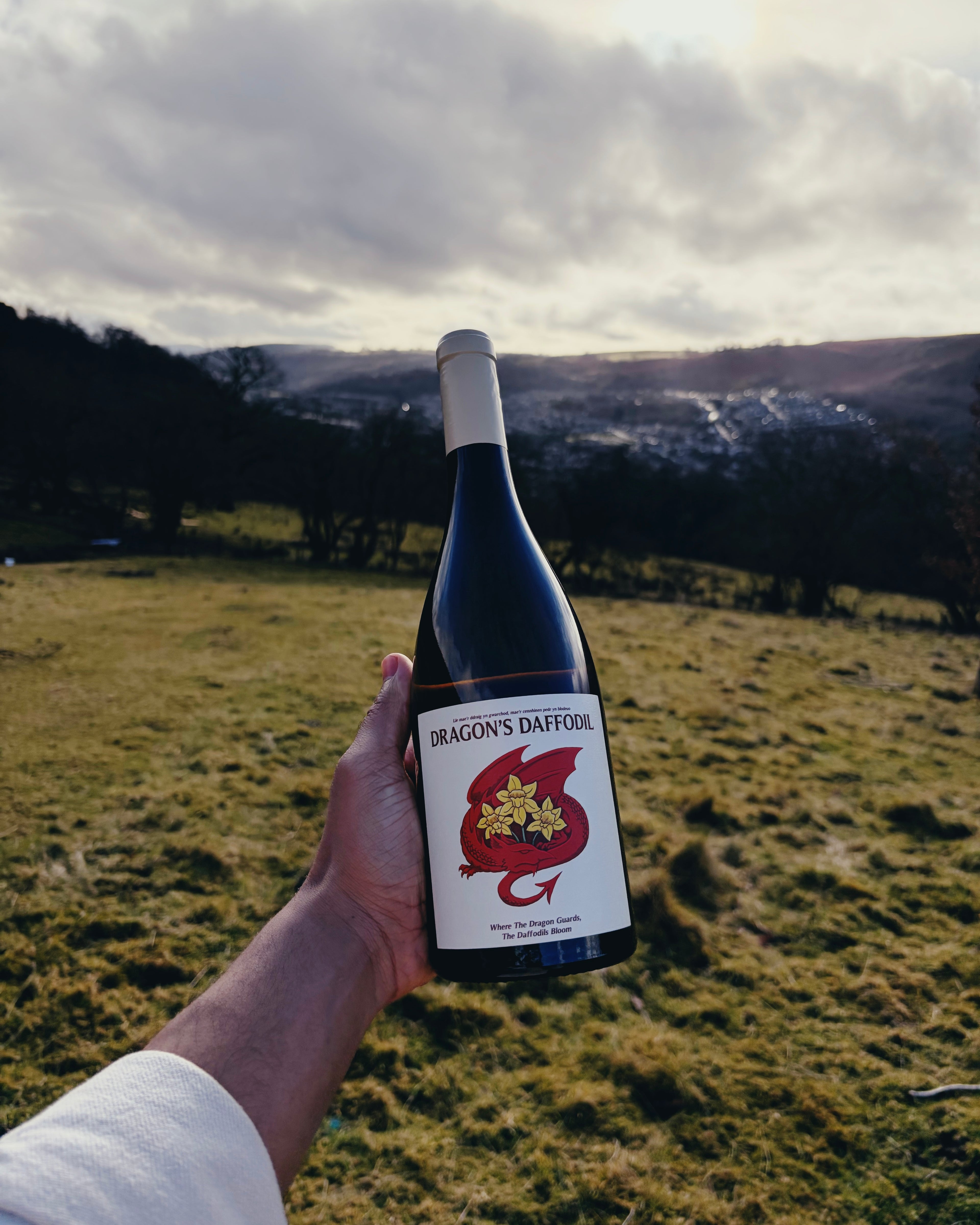 Dragon's Daffodil White