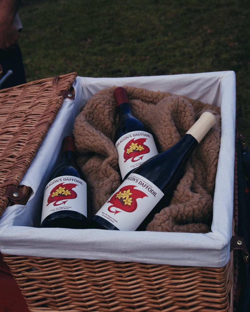 Dragon's Daffodil White